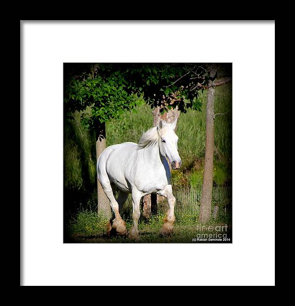 Horse Framed Print featuring the photograph Good Morning #3 by Rabiah Seminole
