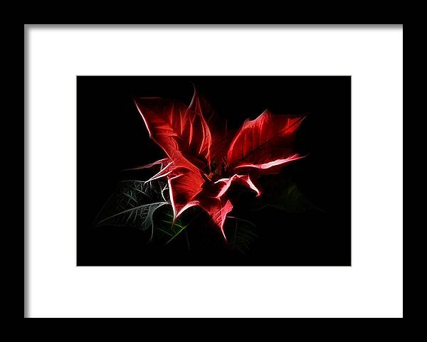 Poinsettia Framed Print featuring the digital art Poinsettia - Christmas Flower by Gynt 