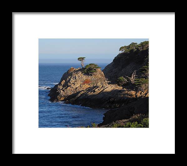 Point Lobos Framed Print featuring the photograph Point Lobos in the Morning by Derek Dean