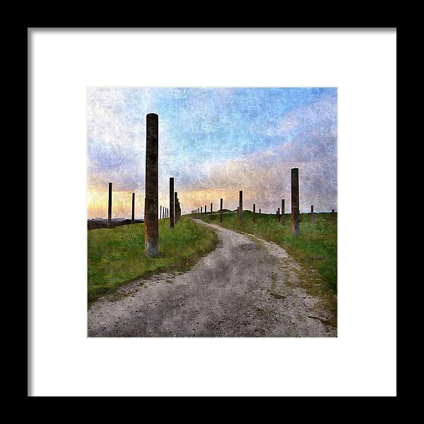 Pole Field Framed Print featuring the photograph Pole Field by Anne Thurston