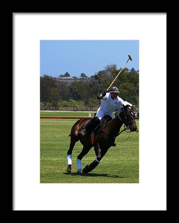 Polo Framed Print featuring the photograph Polo by Julia Ivanovna Willhite