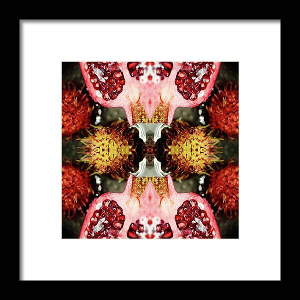 Pomegranate Framed Print featuring the photograph Pomegranate And Rambutan Fruit by Silvia Otte