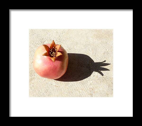 Pomegranate Framed Print featuring the photograph Pomegranate and shadow by Rita Adams