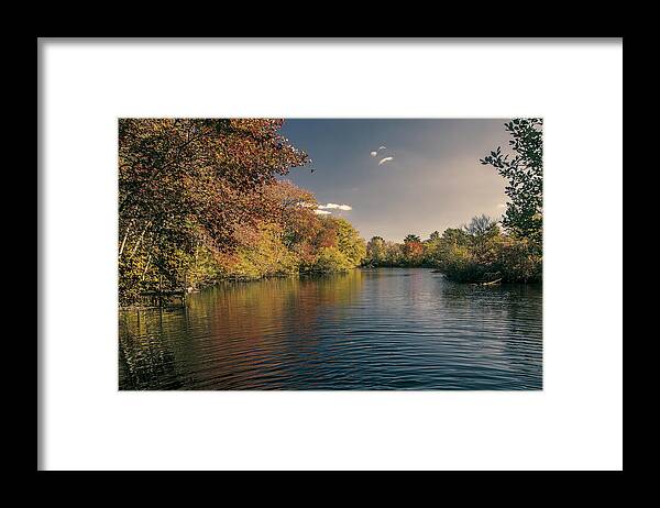 Autumn Framed Print featuring the photograph Pond In Autumn by Cathy Kovarik