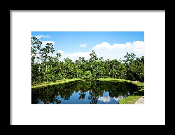 Hardwood Tree Framed Print featuring the photograph Pond In Texas Surrounded By Trees by Fstop123