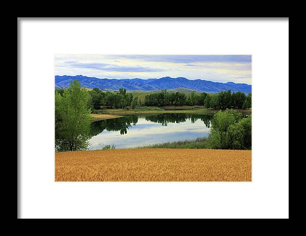 Pond Framed Print featuring the photograph Pond reflection by Roxie Crouch