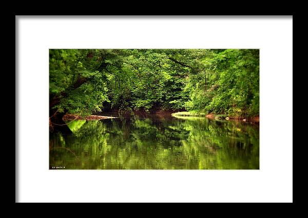 Pondering Framed Print featuring the photograph Pondering by Edward Smith