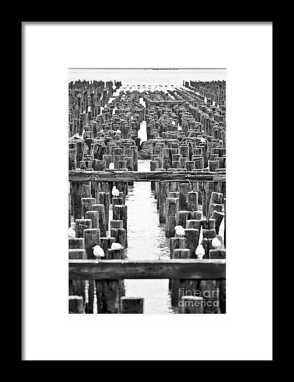 2014 Framed Print featuring the photograph Ponton by PatriZio M Busnel