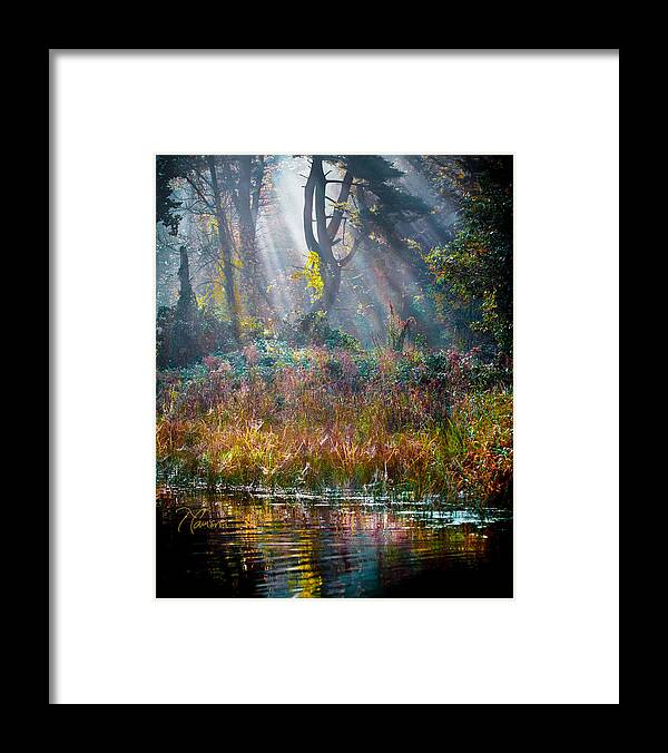 Farmington River Framed Print featuring the photograph Pool of Optimism by Tom Cameron