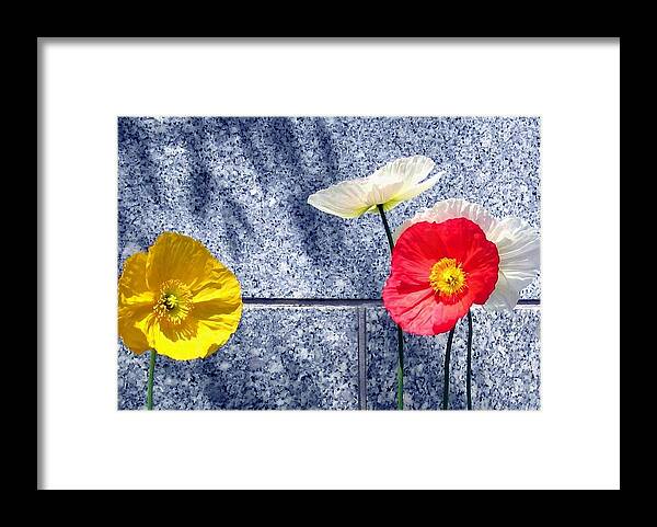 Poppies And Granite Framed Print featuring the digital art Poppies And Granite by Will Borden
