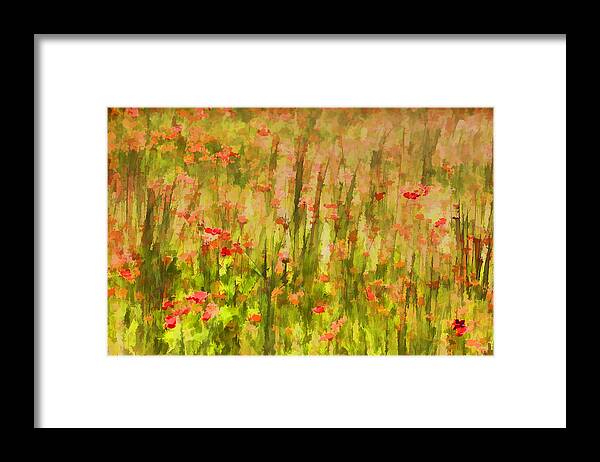 Flowers Meadow Framed Print featuring the painting Poppies of Tuscany II by David Letts
