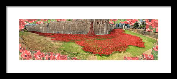 Poppies Framed Print featuring the photograph Poppies Tower of London collage by David French