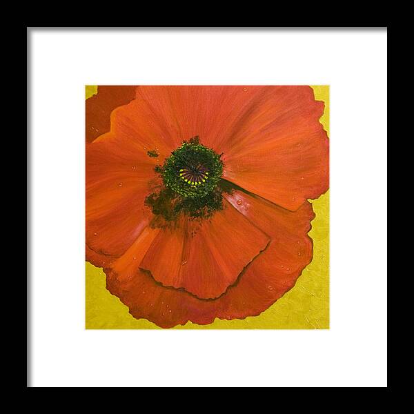 Poppy Flower Red Gold Vivid Nature Flowers Poppies Framed Print featuring the painting Poppy by Brenda Salamone