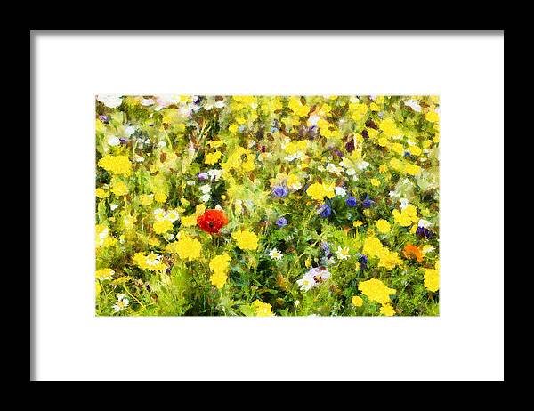 Poppy Framed Print featuring the photograph Poppy in wildflowers by Nigel R Bell