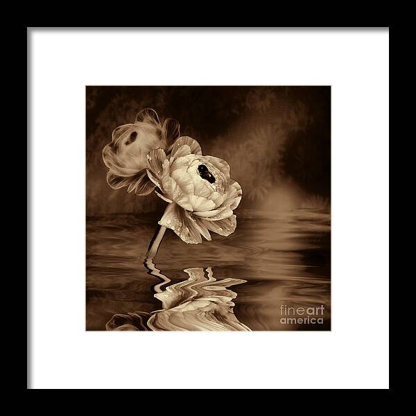 Poppy Framed Print featuring the photograph Poppy Fantasy in Sepia by Shirley Mangini