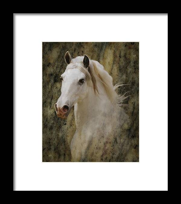 Andalusian Horses Framed Print featuring the photograph Portrait of a Horse God by Melinda Hughes-Berland