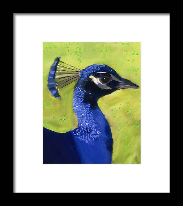 Peacock Framed Print featuring the painting Portrait of a Peacock by Deborah Boyd