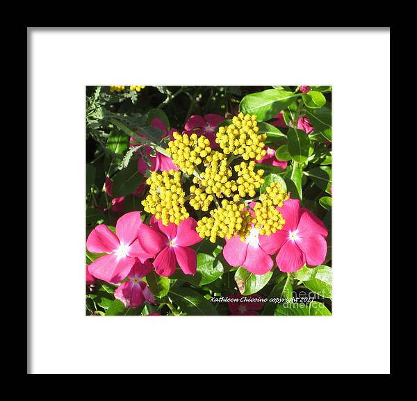 Flowers Framed Print featuring the photograph Posies by Kathie Chicoine