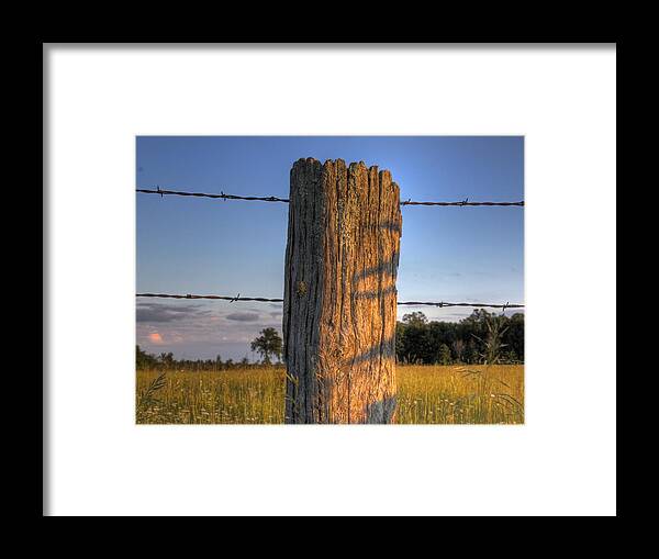 This Is A Old Framed Print featuring the photograph Post and Barb Wire by Larry Capra