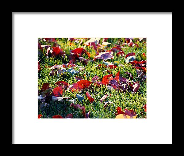 Landscape Canvas Prints Framed Print featuring the digital art Potpourri by R Thomas Brass