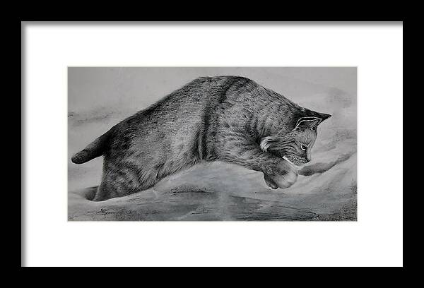 Bobcat Framed Print featuring the drawing Pounce by Jean Cormier