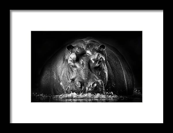 Hippo Framed Print featuring the photograph Power by Gorazd Golob