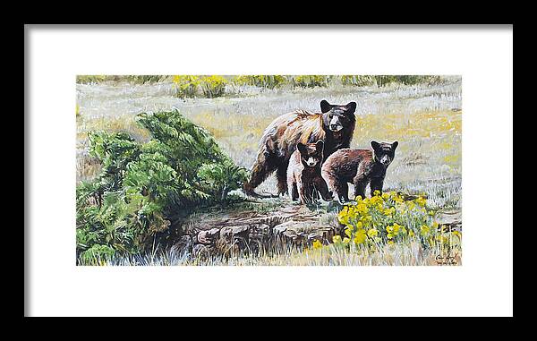 Bear Framed Print featuring the painting Prairie Black Bears by Aaron Spong