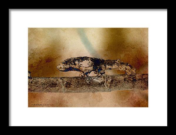 Ice Framed Print featuring the photograph Predator by WB Johnston