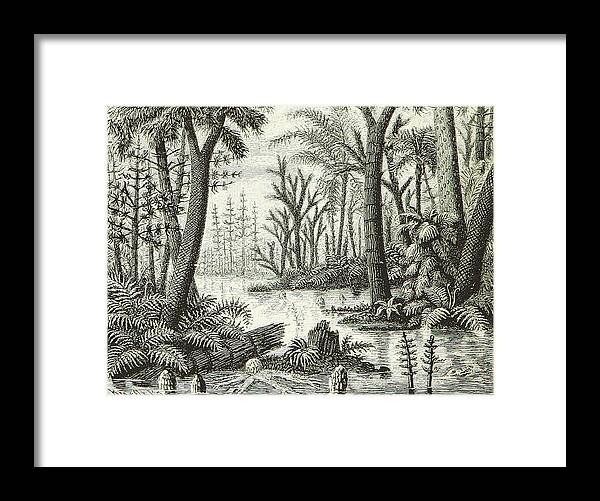 Historic Framed Print featuring the photograph Prehistoric Flora, Carboniferous by British Library