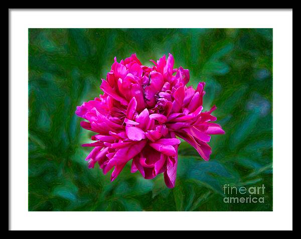 Pretty In Pink Framed Print featuring the photograph Pretty In Pink Garden Art by Omaste Witkowski by Omaste Witkowski