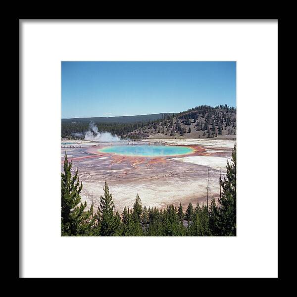 Tranquility Framed Print featuring the photograph Prismatic Spring by L. Maile Smith