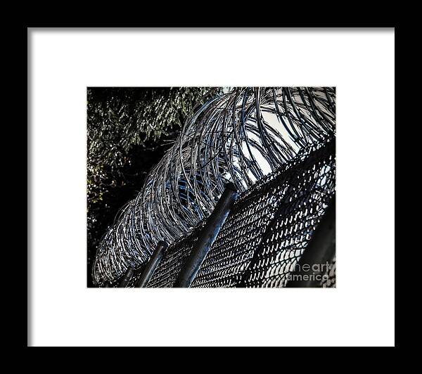 Freedom Framed Print featuring the photograph Prison by Phil Cardamone