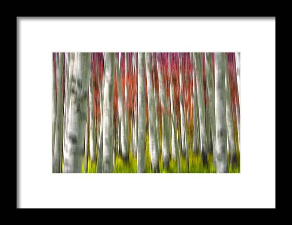 3scape Framed Print featuring the photograph Progression of Autumn by Adam Romanowicz