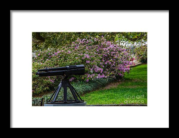 Battery Park Framed Print featuring the photograph Protect the Park by Dale Powell