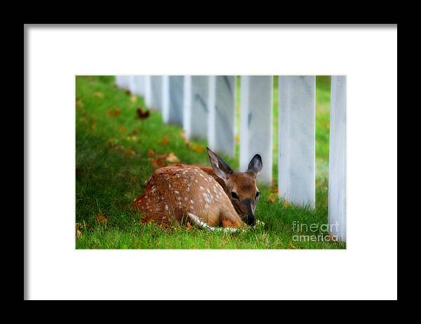 Landscape Framed Print featuring the photograph Protecting Our Heros by Peggy Franz