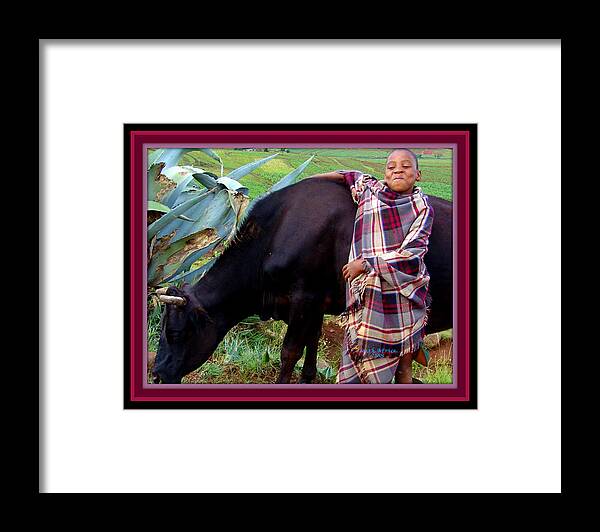 Boy Framed Print featuring the photograph Proud Cow by MarvL Roussan