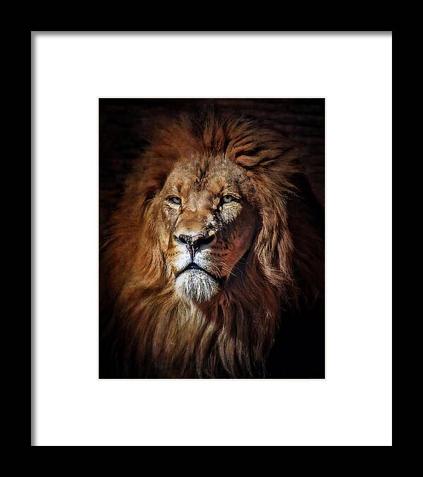 Lions Framed Print featuring the mixed media Proud N Powerful by Elaine Malott