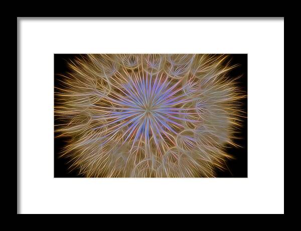 Dandelion Framed Print featuring the photograph Psychedelic Dandelion Art by James BO Insogna
