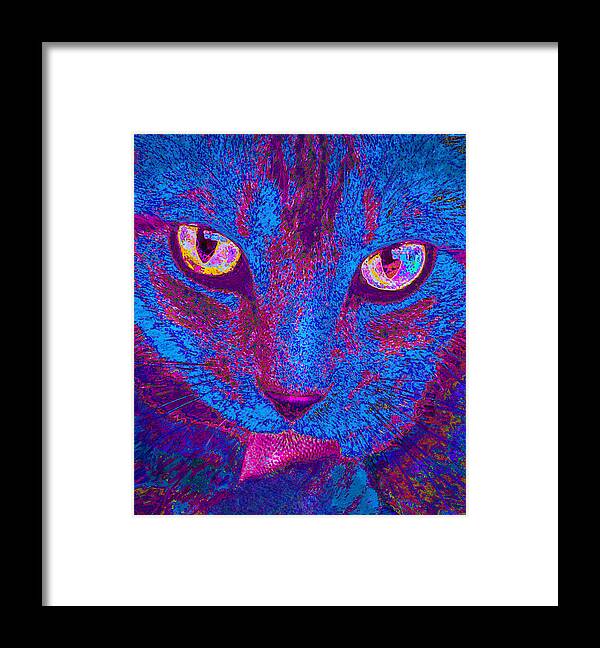 Psychedelic Framed Print featuring the photograph Psychedelic Kitty by Jane Schnetlage