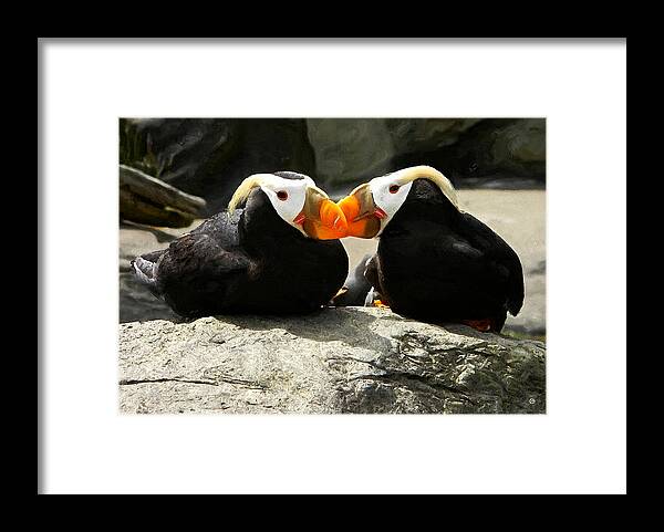 Puffins Framed Print featuring the digital art Puffin Friends 2 by Gary Olsen-Hasek