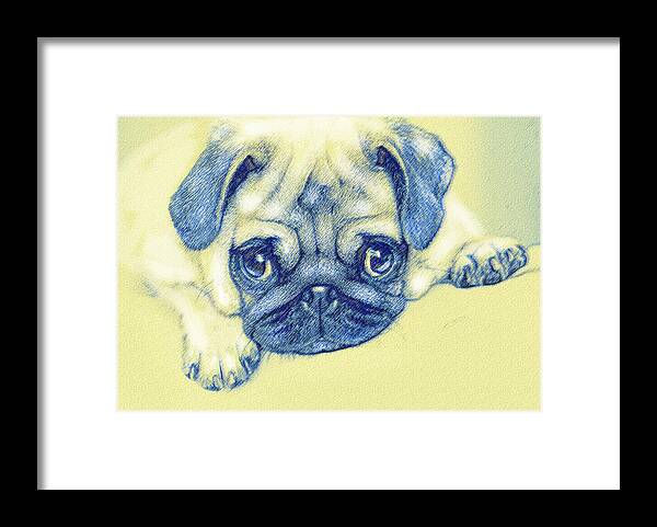 Jane Schnetlage Framed Print featuring the digital art Pug Puppy Pastel Sketch by Jane Schnetlage