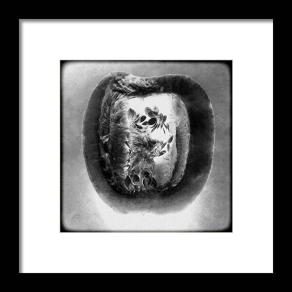 Pumpkin Framed Print featuring the photograph Heart of a Pumpkin Abstract No 2 by Louise Kumpf