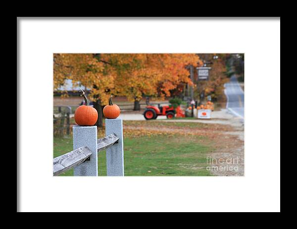 Fall Framed Print featuring the photograph Pumpkin Farm by Jayne Carney