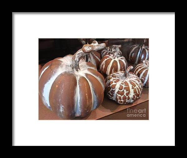 Pumpkin Art Prints Framed Print featuring the photograph Pumpkins and Gourds Fall Autumn Brown White Pumpkins - Colors of Autumn by Kathy Fornal