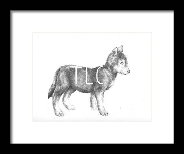 Pup Framed Print featuring the drawing Pup by Alexander M Petersen