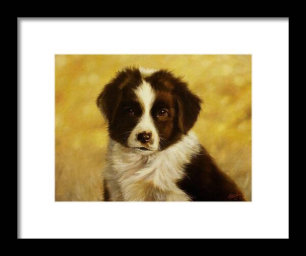 Dog Paintings Framed Print featuring the painting Puppy portrait by John Silver