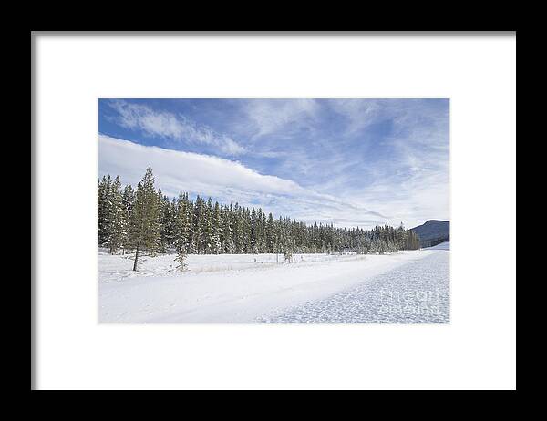 Banff Framed Print featuring the photograph Pure Delight by Evelina Kremsdorf
