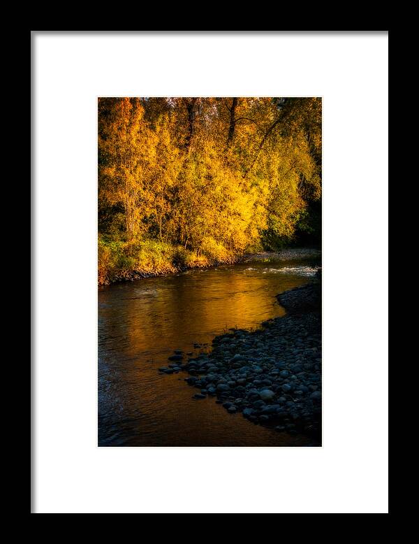 Fall Framed Print featuring the photograph Pure Gold by Elaine Goss