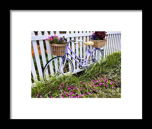 Bicycle Framed Print featuring the photograph Purple Bicycle and Flowers by David Smith