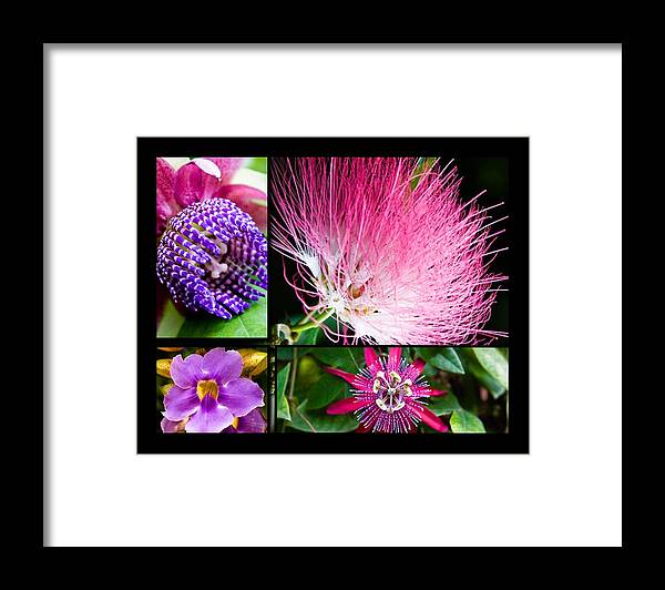 Collage Framed Print featuring the photograph Purple Bouquet by Melinda Ledsome